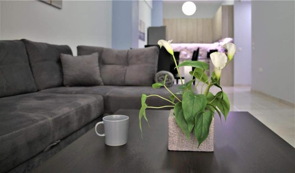 Lovely Apartment In The Center Of Athens. Buitenkant foto